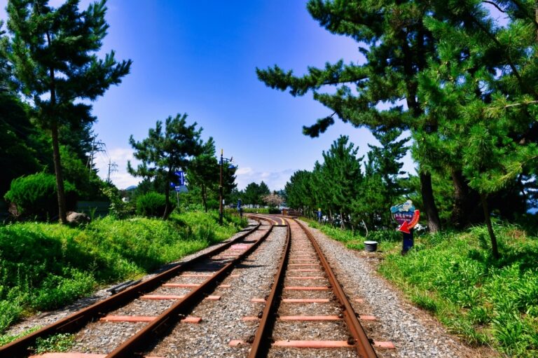 [예스키즈존] 삼척 해양레일바이크