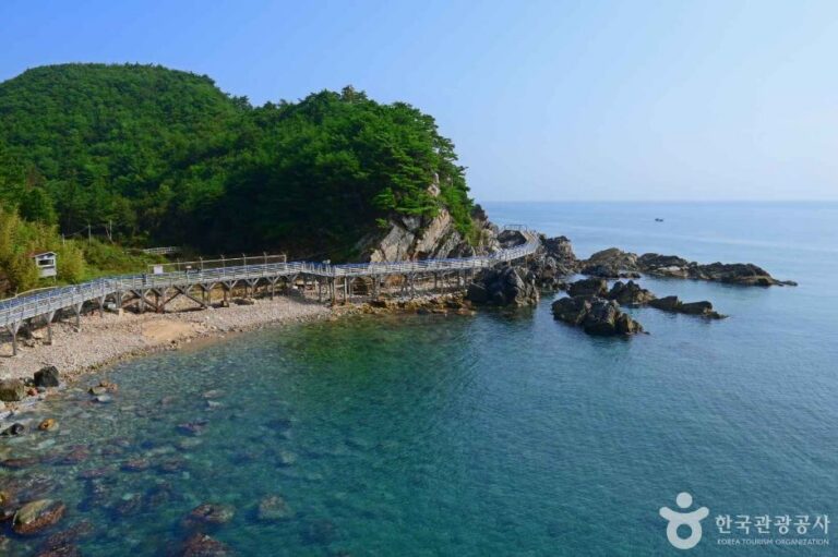 [예스키즈존] 정동심곡 바다부채길