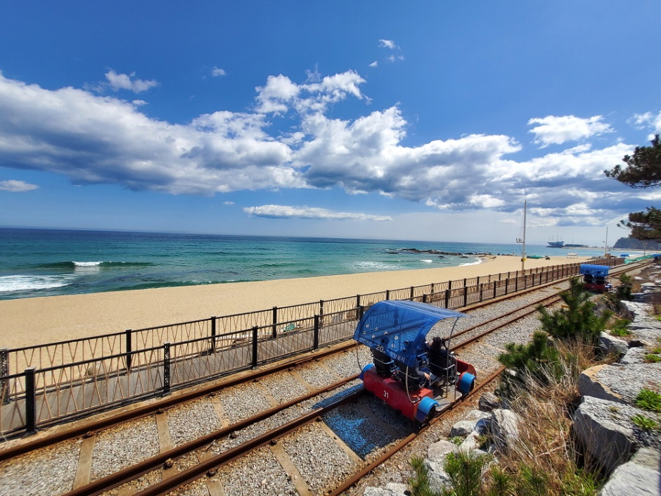 yeskids 1776632794 320 예스키즈존 탐험대 : 실패 없는 육아여행