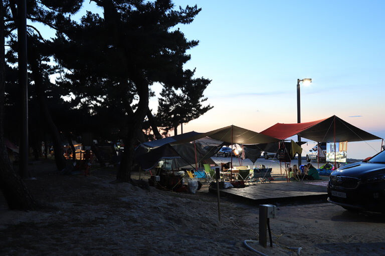 [예스키즈존] 연곡해변솔향기캠핑장