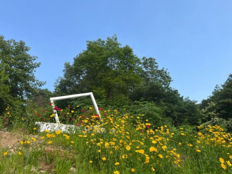 [예스키즈존] 춘천숲자연휴양림