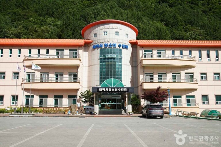 [예스키즈존] 태백시청소년수련관