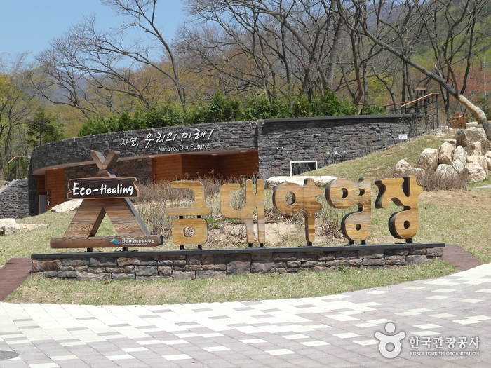 [예스키즈존] 금대 에코힐링 캠핑장