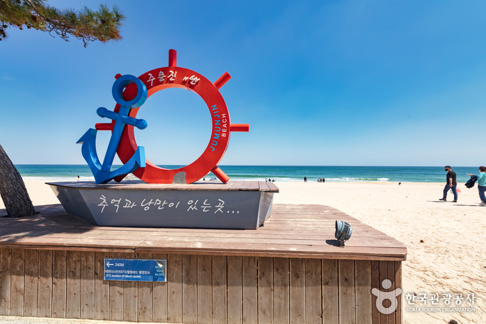 [예스키즈존] [해파랑길] 41코스