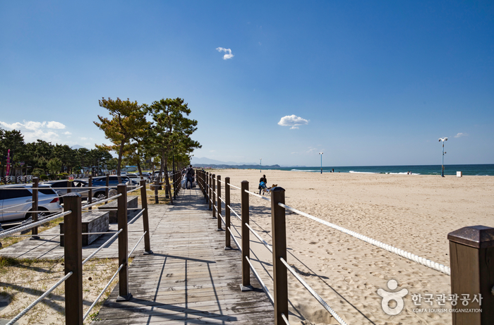 [예스키즈존] [해파랑길] 43코스