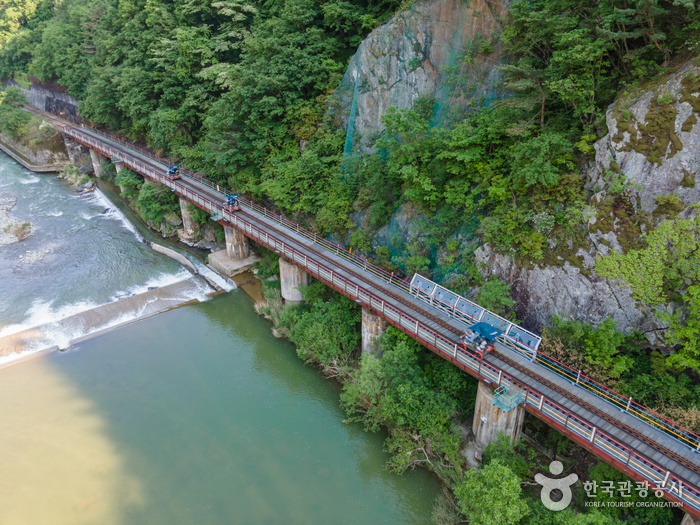 yeskids 1776633126 789 예스키즈존 탐험대 : 실패 없는 육아여행