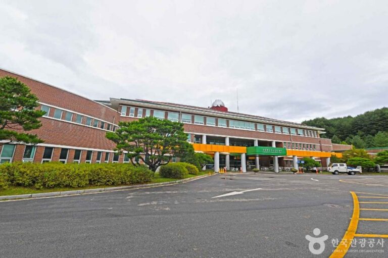 [예스키즈존] 국립평창청소년수련원