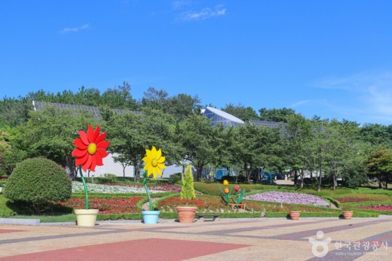 [예스키즈존] 울산대공원