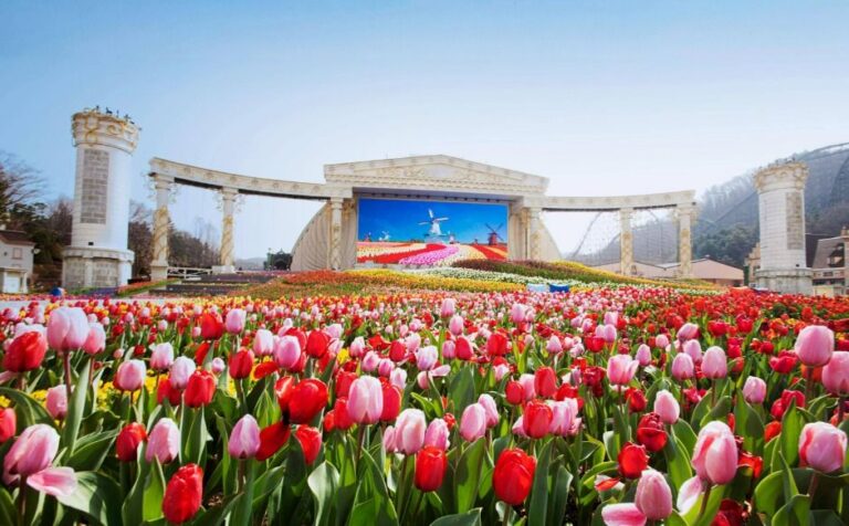 [예스키즈존] 에버랜드