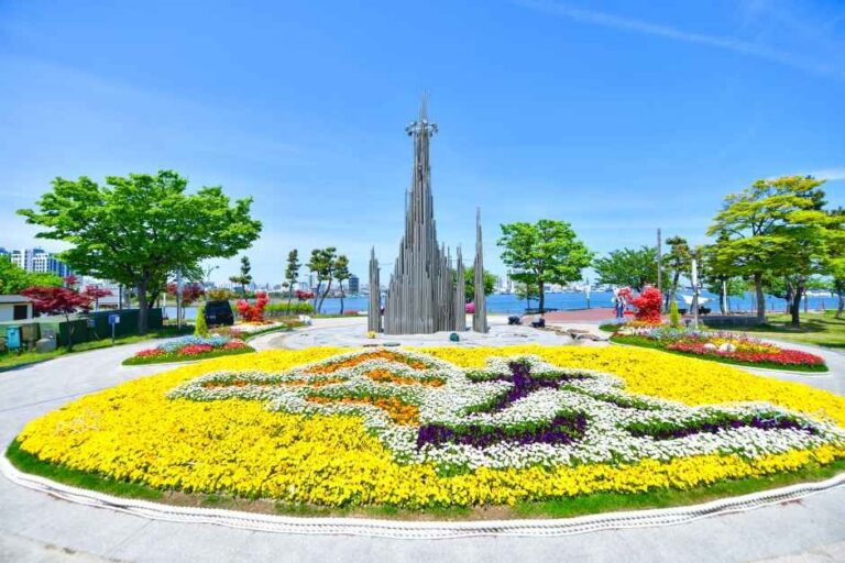 [예스키즈존] 청초호