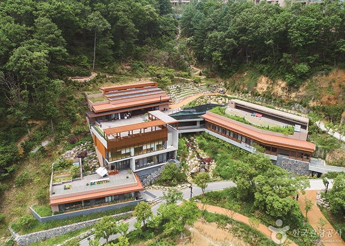 [예스키즈존] 힐리언스 선마을