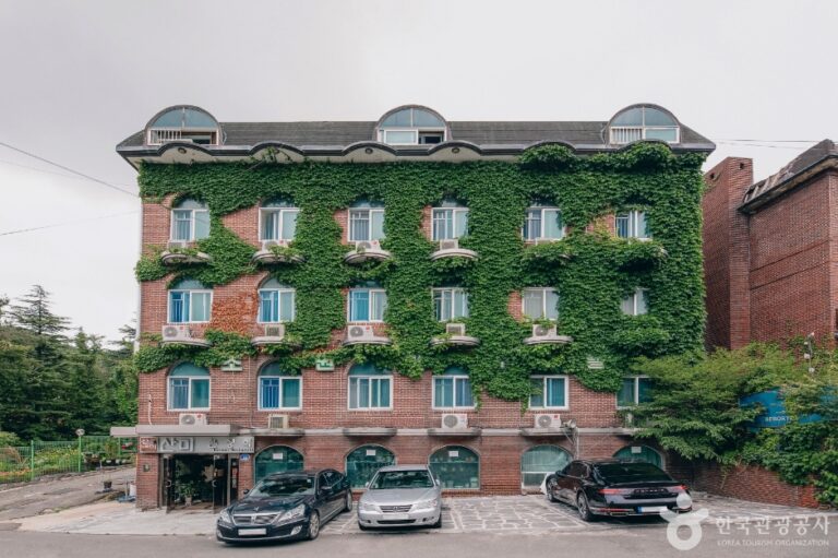 [예스키즈존] 초원리조텔