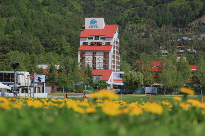 [예스키즈존] 드래곤밸리 호텔