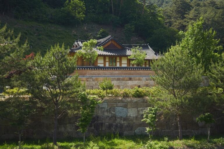 [예스키즈존] 오대산 자연명상마을