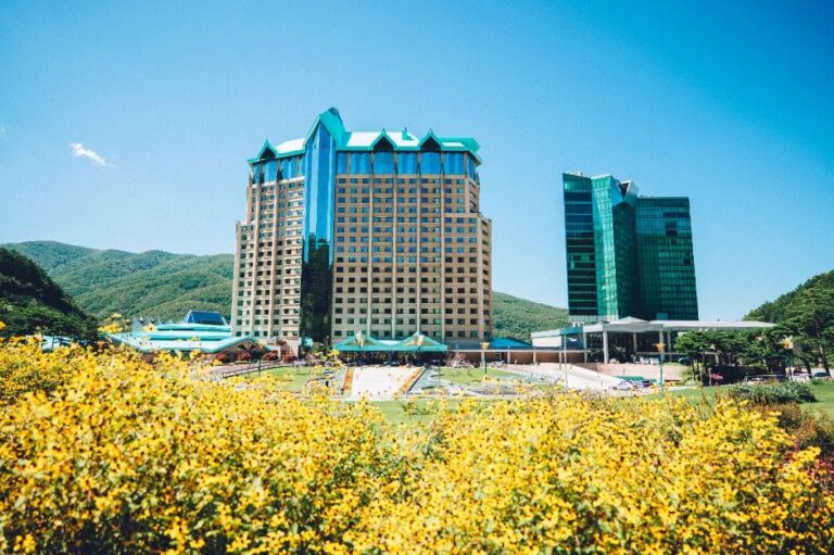 [예스키즈존] 하이원 그랜드호텔