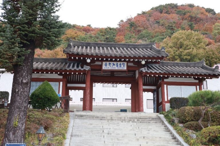 [예스키즈존] 춘천세종호텔