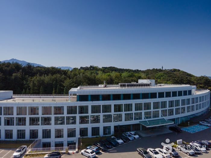 [예스키즈존] 낙산비치호텔