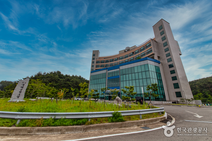 [예스키즈존] 양양국제공항호텔
