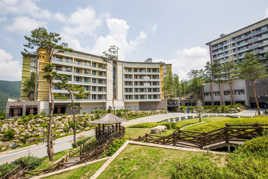 yeskids 1776896544 181 예스키즈존 탐험대 : 실패 없는 육아여행