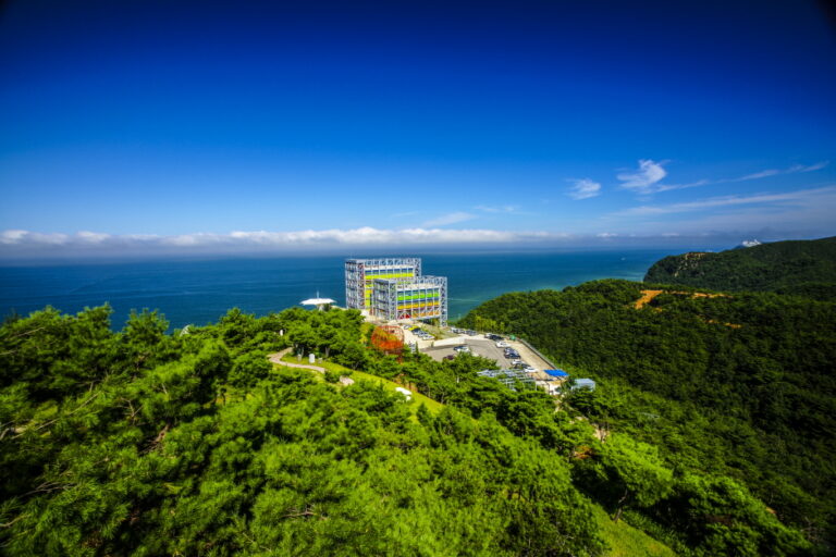 [예스키즈존] 하슬라아트월드