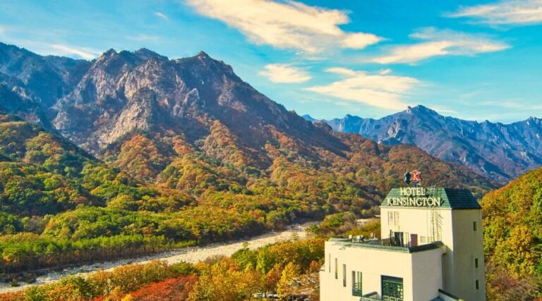 [예스키즈존] 켄싱턴호텔 설악