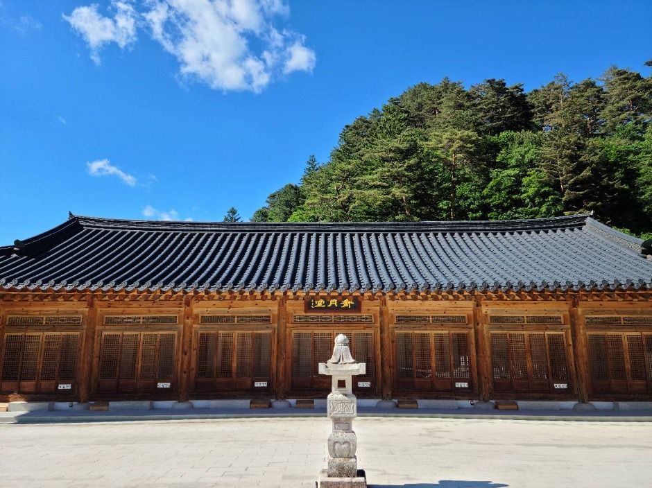 yeskids 1776896852 714 예스키즈존 탐험대 : 실패 없는 육아여행