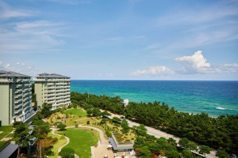 [예스키즈존] 라카이 샌드파인