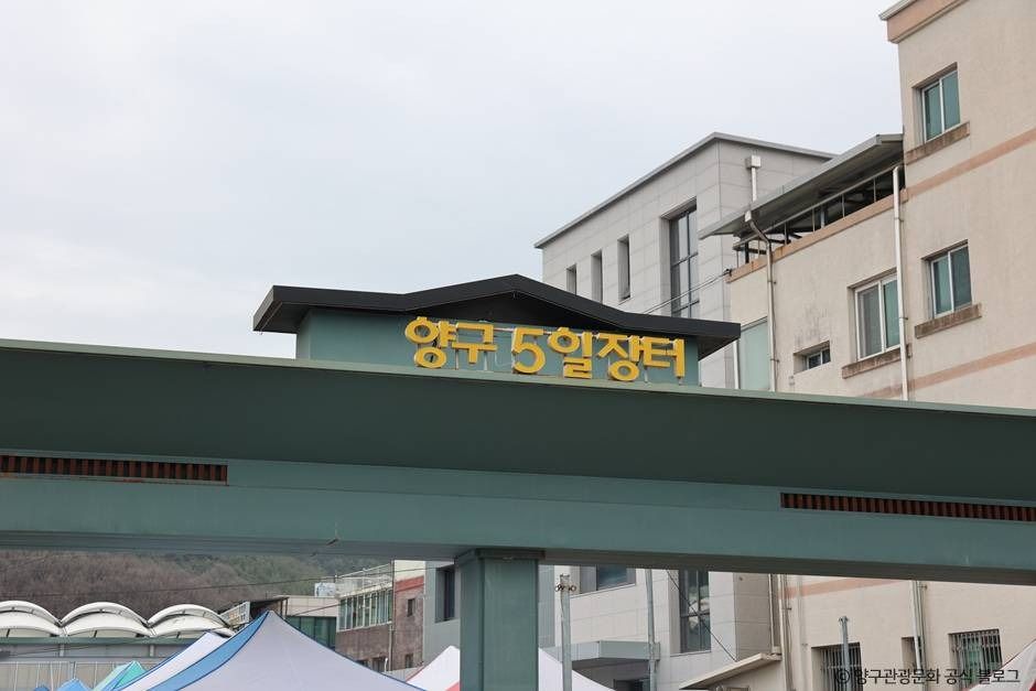 yeskids 1776975333 120 예스키즈존 탐험대 : 실패 없는 육아여행