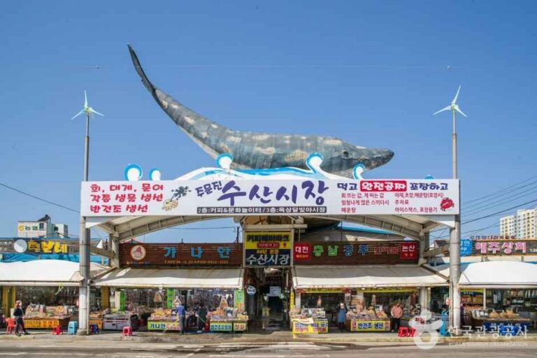 [예스키즈존] 주문진수산시장