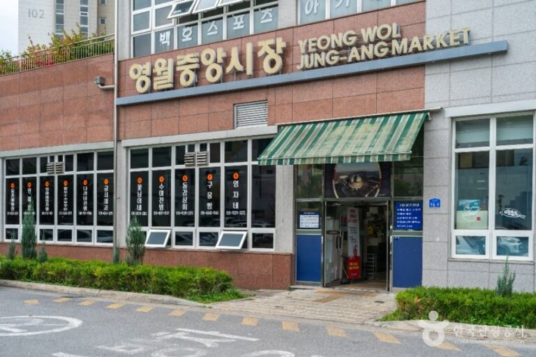 [예스키즈존] 영월중앙시장