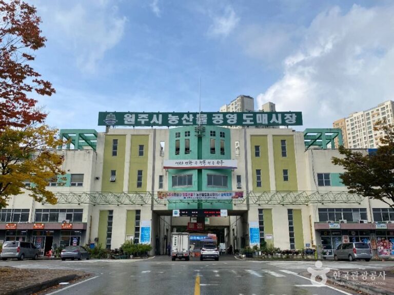 [예스키즈존] 원주 농산물도매시장