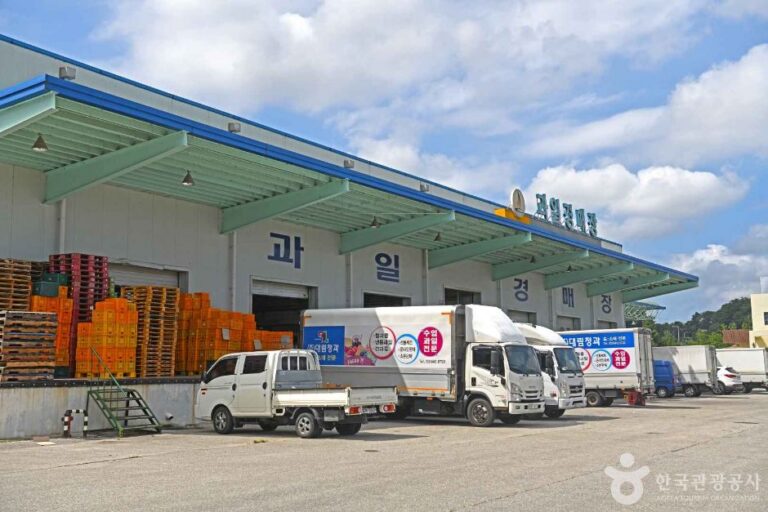 [예스키즈존] 강릉 농산물도매시장