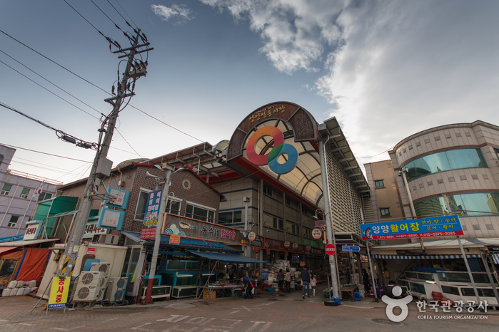 [예스키즈존] 양양전통시장 (4, 9일)