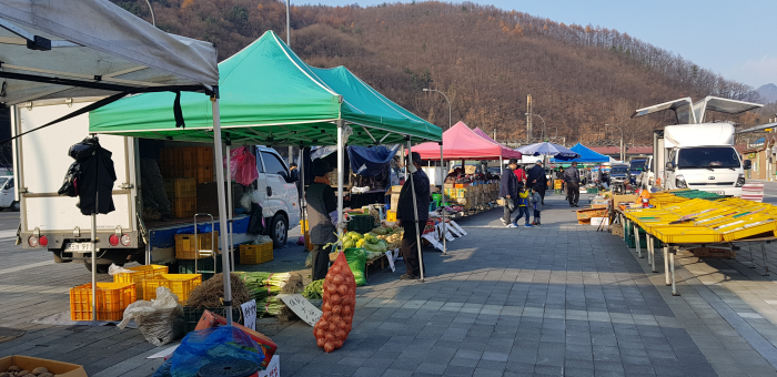[예스키즈존] 쇠바우골탄광문화장터