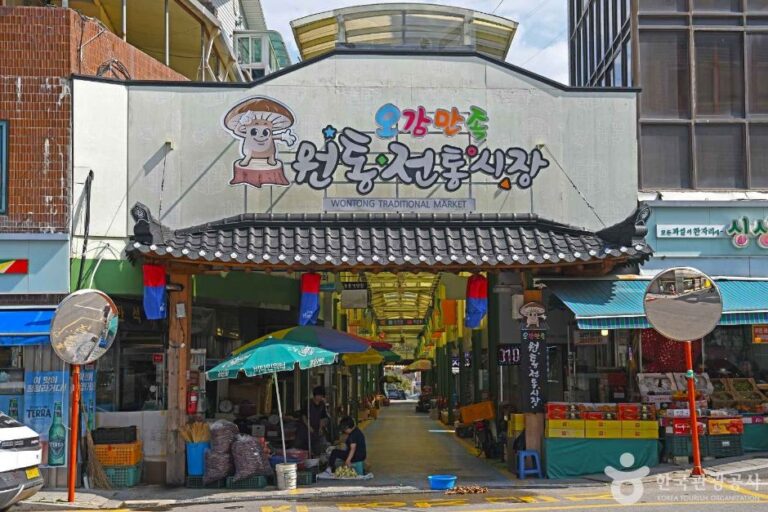 [예스키즈존] 원통장 (2, 7일)