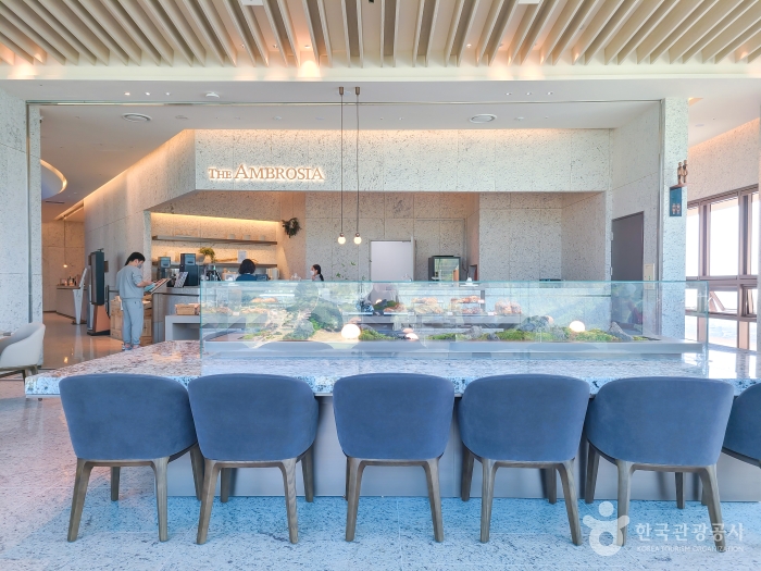 [예스키즈존] 소노펠리체 델피노 더 엠브로시아