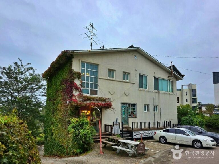 [예스키즈존] 보헤미안 박이추커피