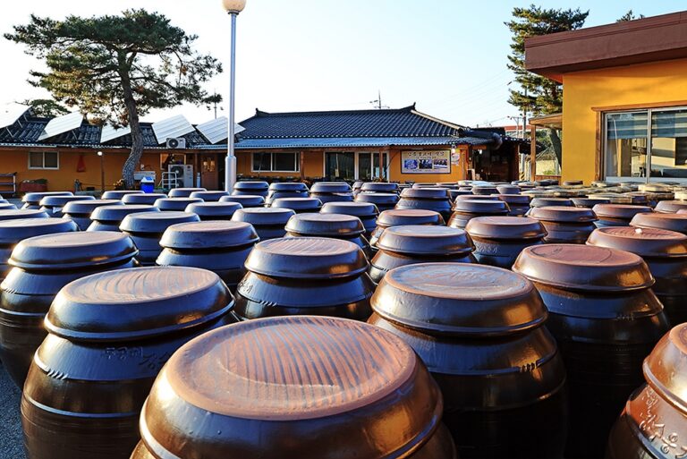 [예스키즈존] 강릉불고기 본점