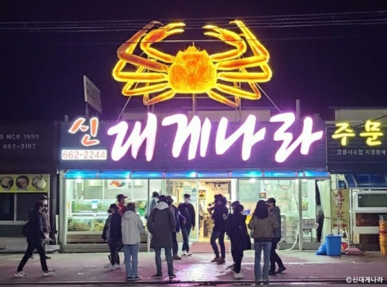 [예스키즈존] 신대게나라