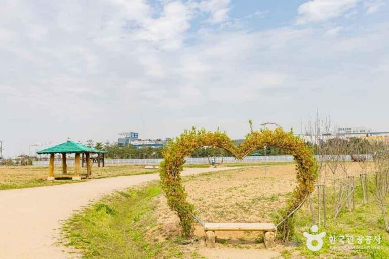 [예스키즈존] 계양꽃마루