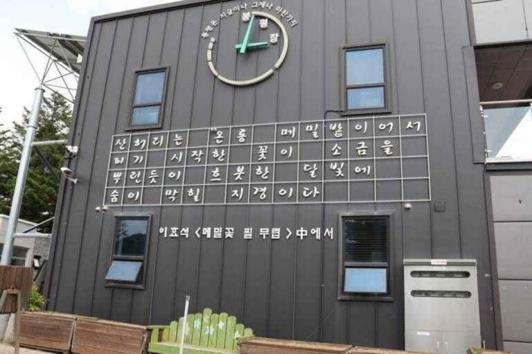 [예스키즈존] 봉평전통시장 메밀카페 달꽃