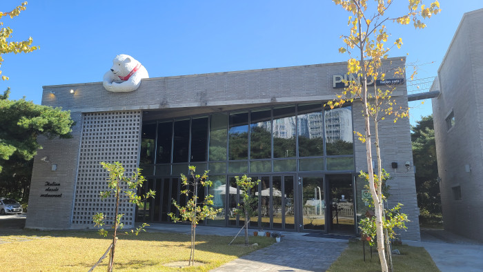 [예스키즈존] 피노