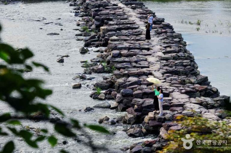 [예스키즈존] 진천 농다리