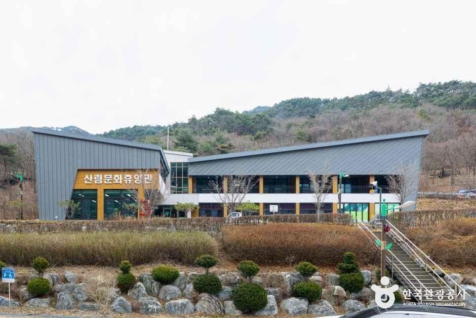 yeskids 1777149487 944 예스키즈존 탐험대 : 실패 없는 육아여행