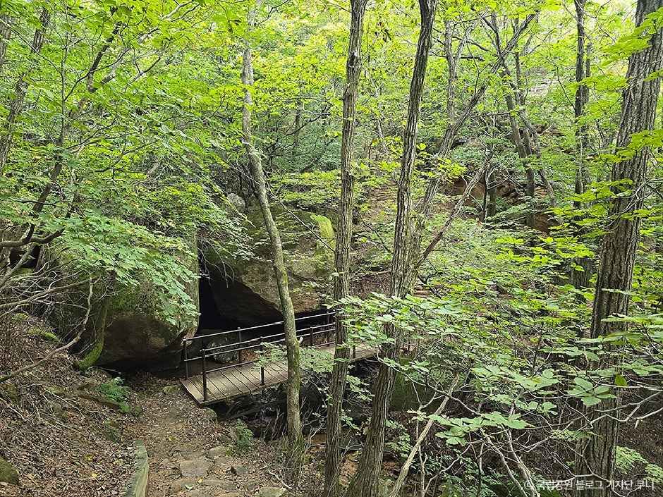 yeskids 1777149881 400 예스키즈존 탐험대 : 실패 없는 육아여행