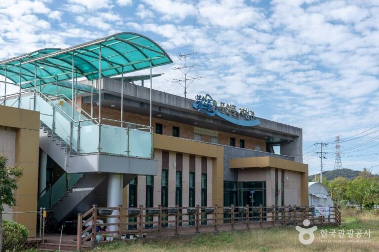 [예스키즈존] 물안뜰체험관