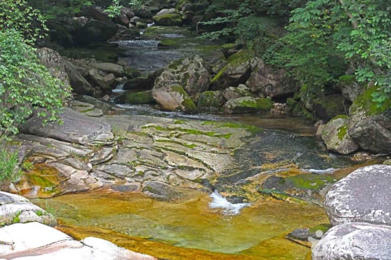 [예스키즈존] 송계계곡