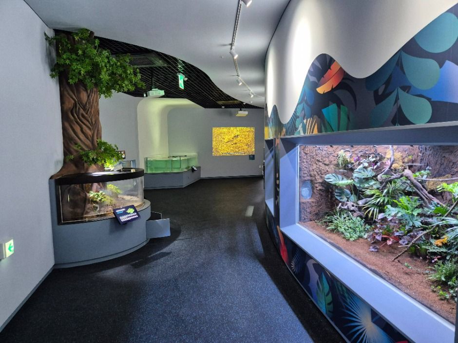 yeskids 1777150647 607 예스키즈존 탐험대 : 실패 없는 육아여행