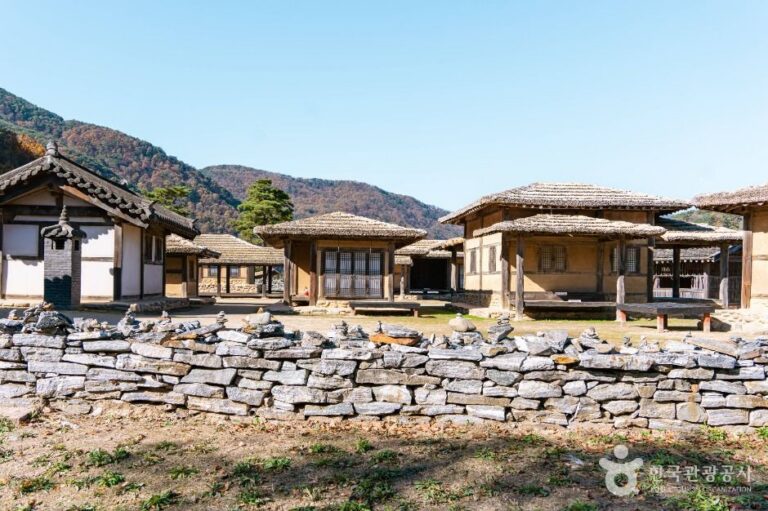 [예스키즈존] 온달관광지