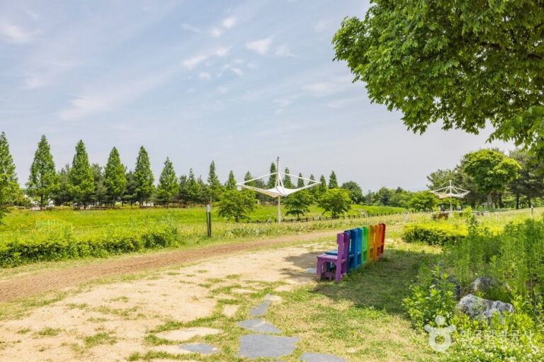 [예스키즈존] 문암생태공원